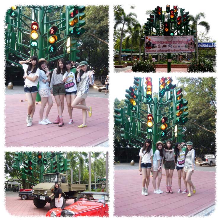 Traffic light tree ต้นไฟจราจร สิ่งประดิษฐ์โดยฝีมือคนไทย