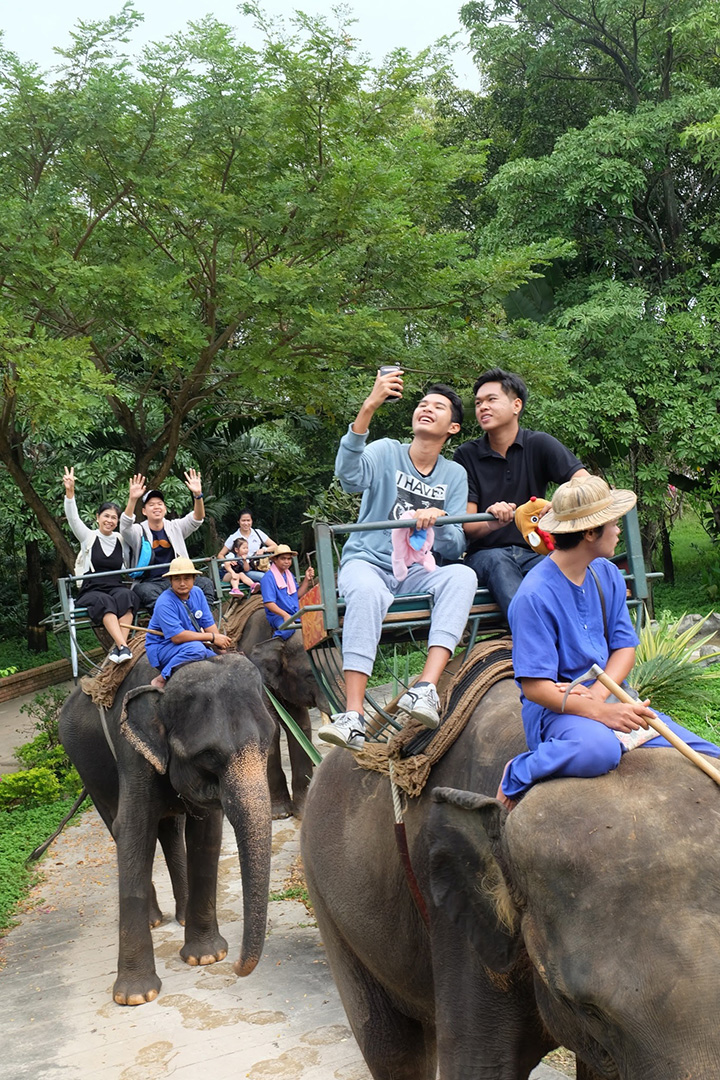 นั่งช้างท่องอุทยาน Journey through a lush tropical garden on an elephant’s back