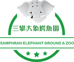 SAMPHRAN ELEPHANT GROUND & ZOO